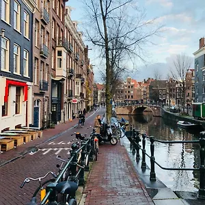 Bee - In The Trendy Jordaan Amsterdam